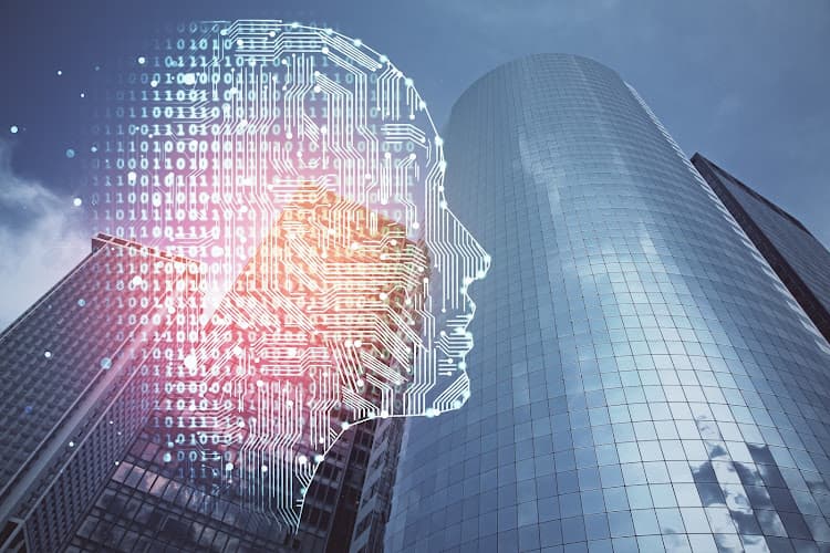 Learning from global public sector AI successes